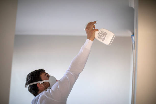 Best Toxic Mold Removal  in San Marino, CA