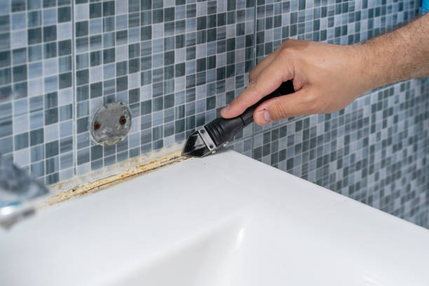 Best Mold Testing  in San Marino, CA