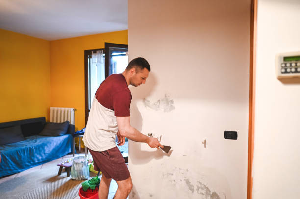 Best Fast Mold Removal  in San Marino, CA